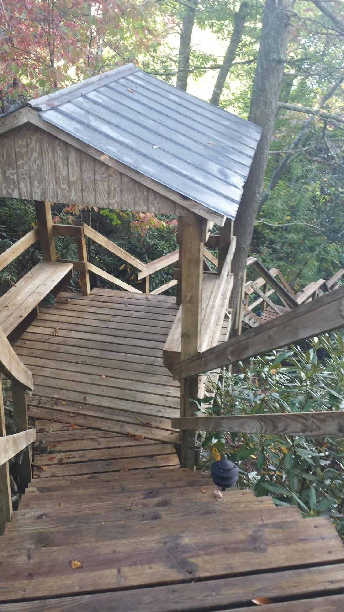 Metal roofed shelter over wooden steps on a wooded walkway — Skylight Repair & Installation work by our crew in Richburg