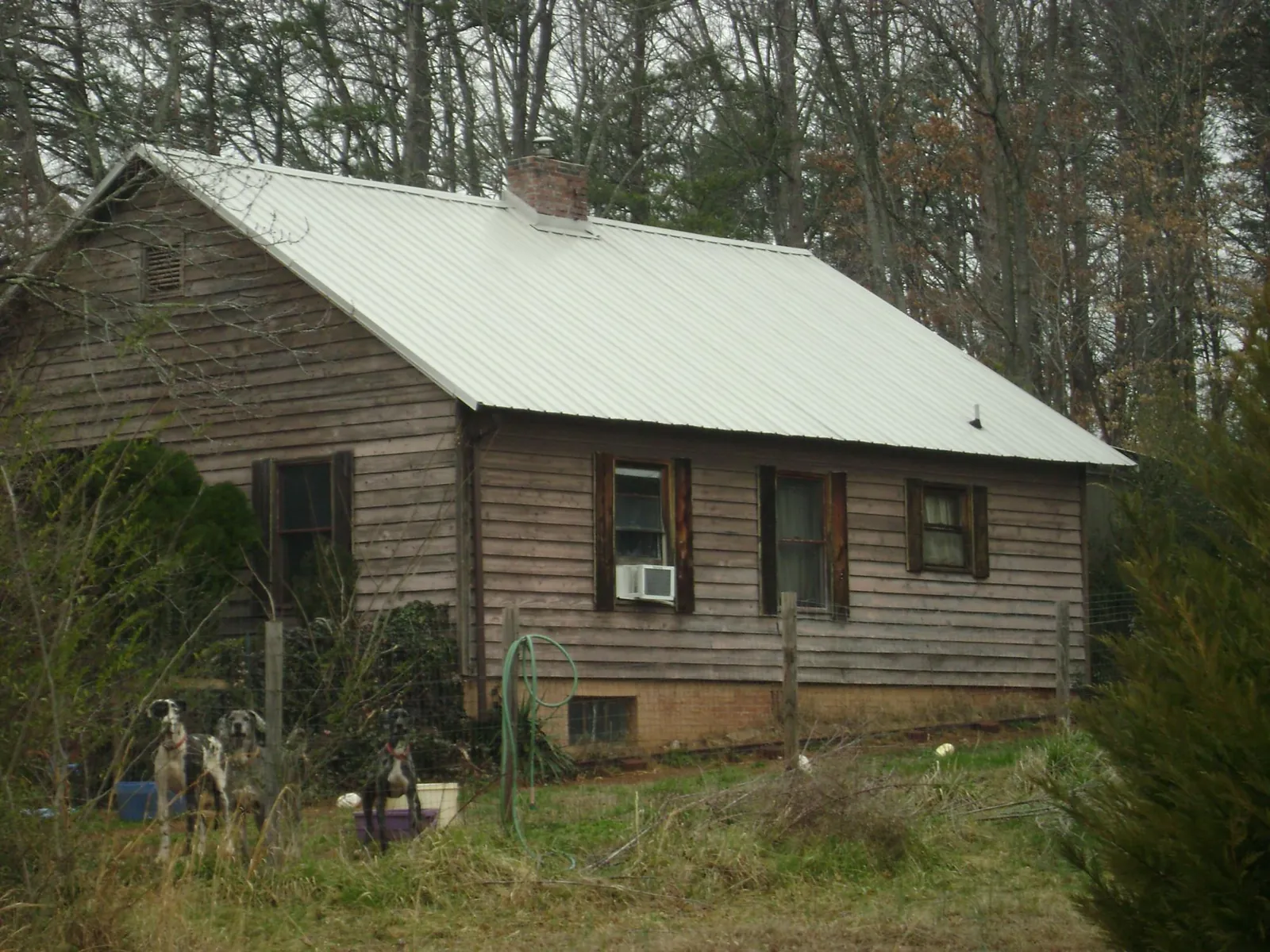 White metal roof on an old wood sided farmhouse, from a Asphalt Shingle Roof Repair job in Richburg